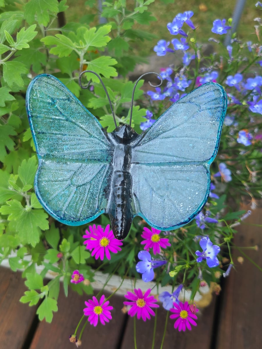 Plant Pick-Butterfly, Largein Blue Tint by Kathy Kollenburn 