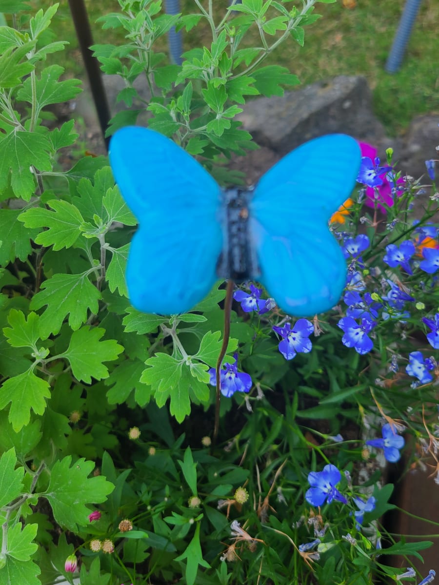 Plant Pick-Butterfly, Small in Cyan by Kathy Kollenburn 