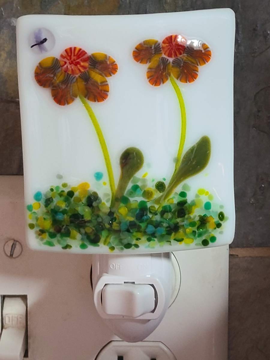 Nightlight-Echinecea by Kathy Kollenburn 