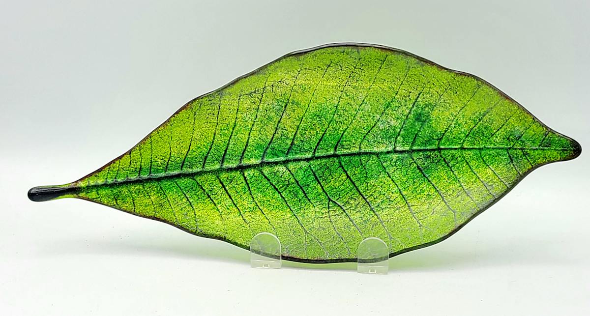 Cloud Forest Magnolia Dish by Kathy Kollenburn 
