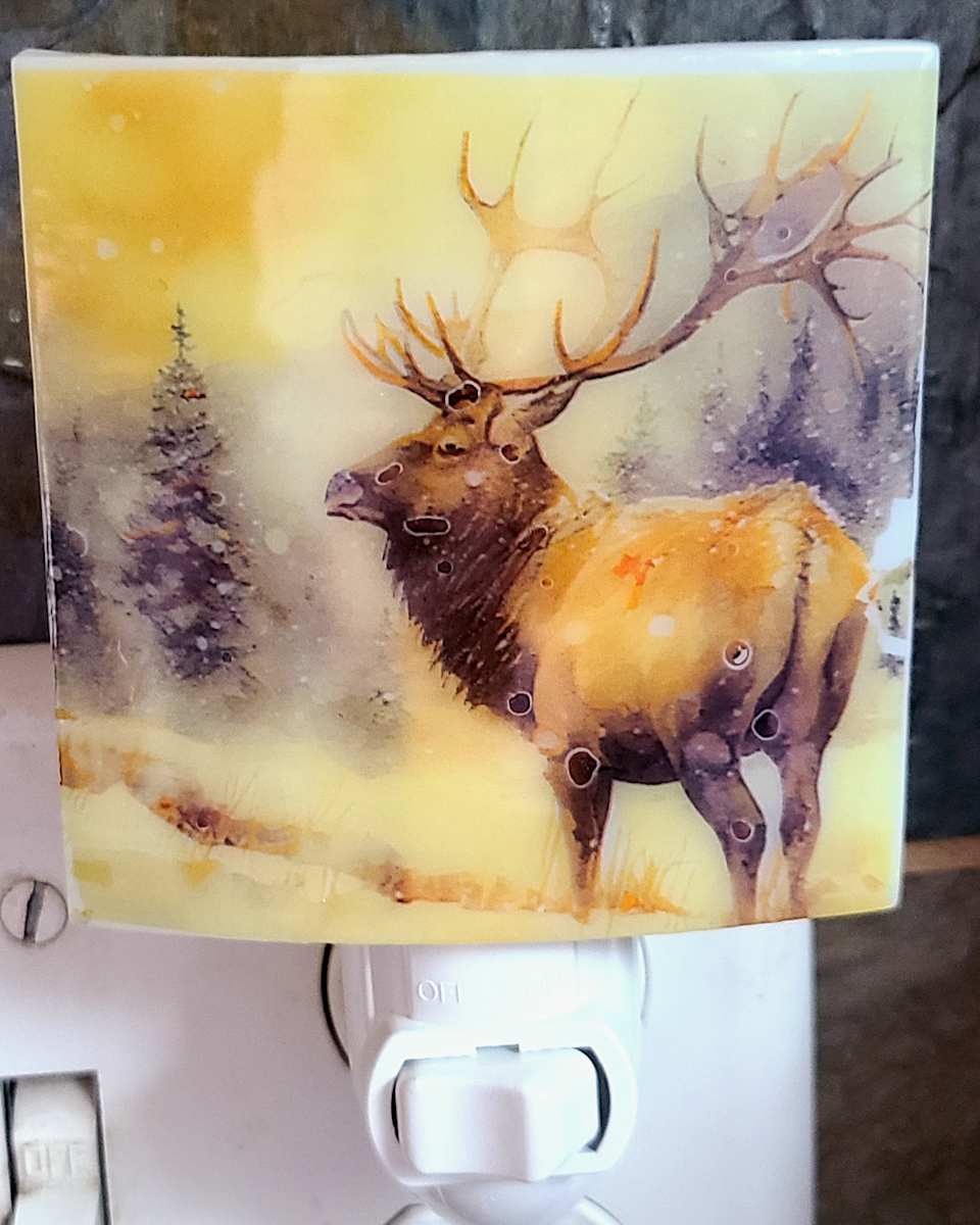 Nightlight-Winter Elk by Kathy Kollenburn 