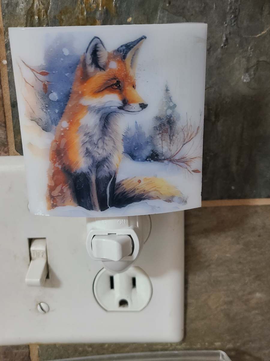 Nightlight-Snowy Fox by Kathy Kollenburn 