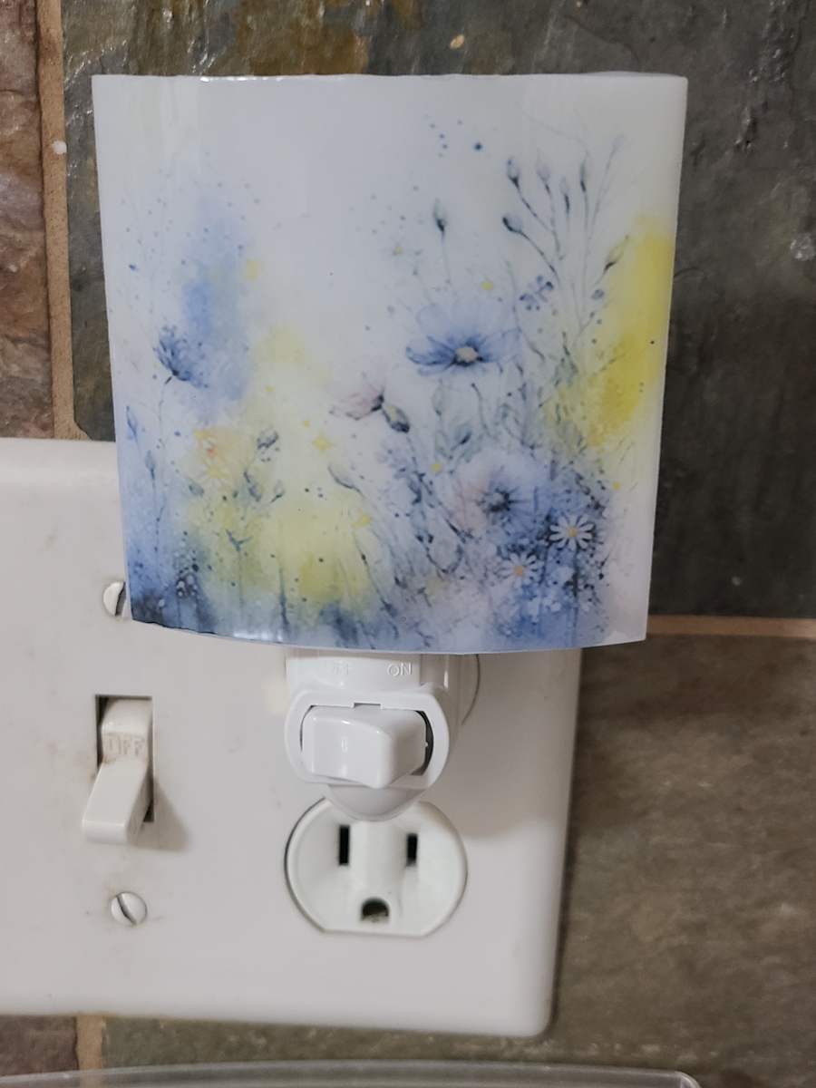 Nightlight-Wildflowers by Kathy Kollenburn 