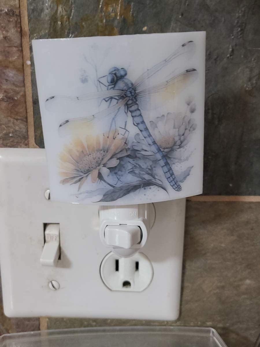 Nightlight-Dragonfly over Flowers by Kathy Kollenburn 
