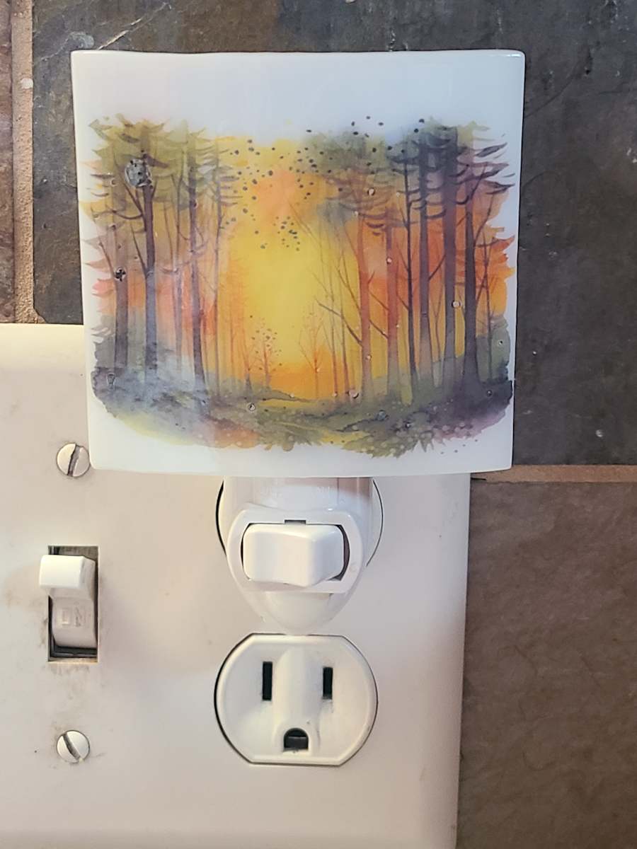 Nightlight-Forest Sunset by Kathy Kollenburn 