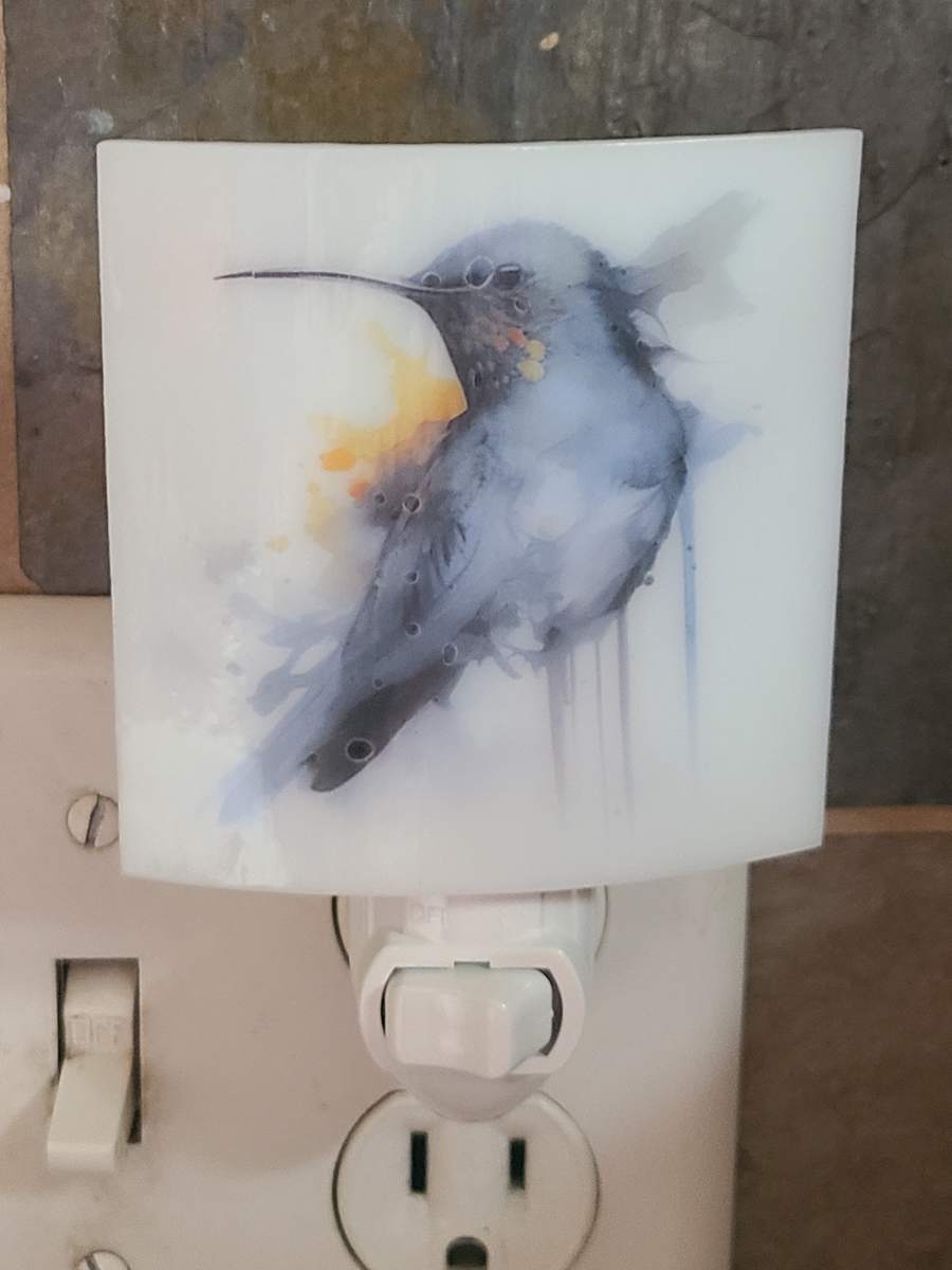 Nightlight-Hummingbird by Kathy Kollenburn 