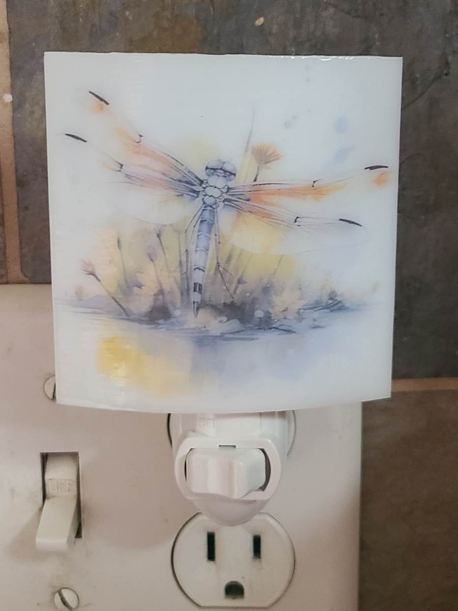 Nightlight-Dragonfly with Pond by Kathy Kollenburn, Image 16.