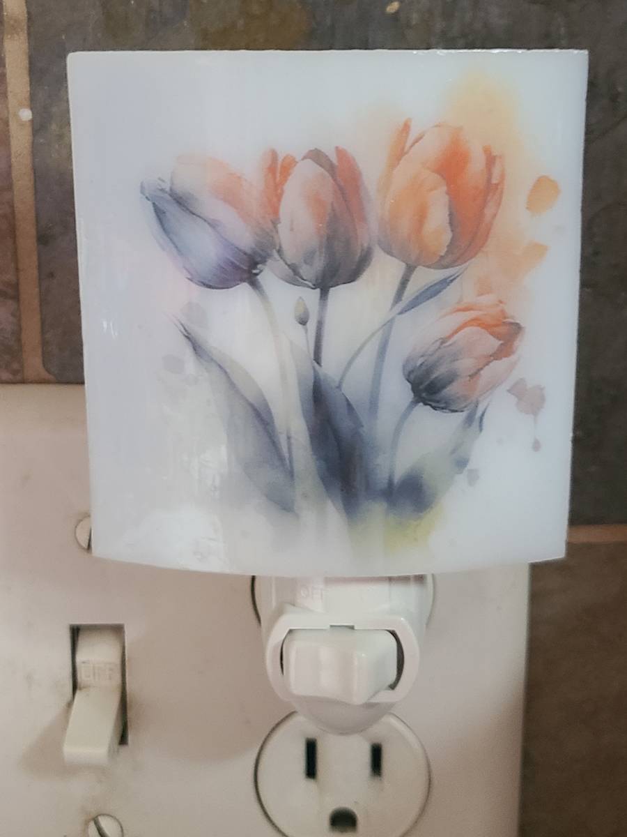 Nightlight-Tulips by Kathy Kollenburn 