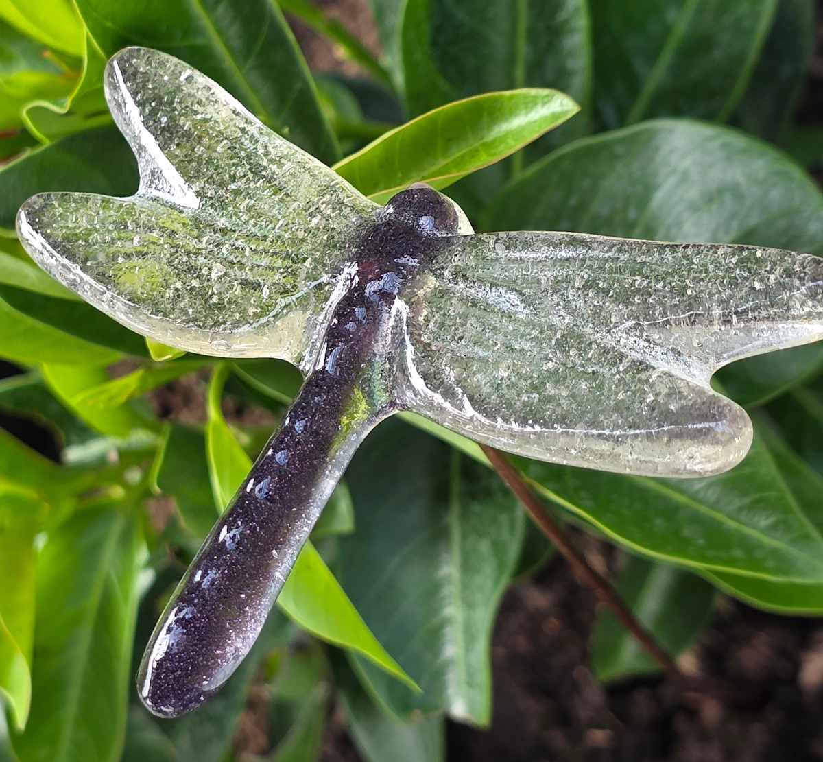 Plant Pick-Dragonfly, Medium in Purple/Clear by Kathy Kollenburn 
