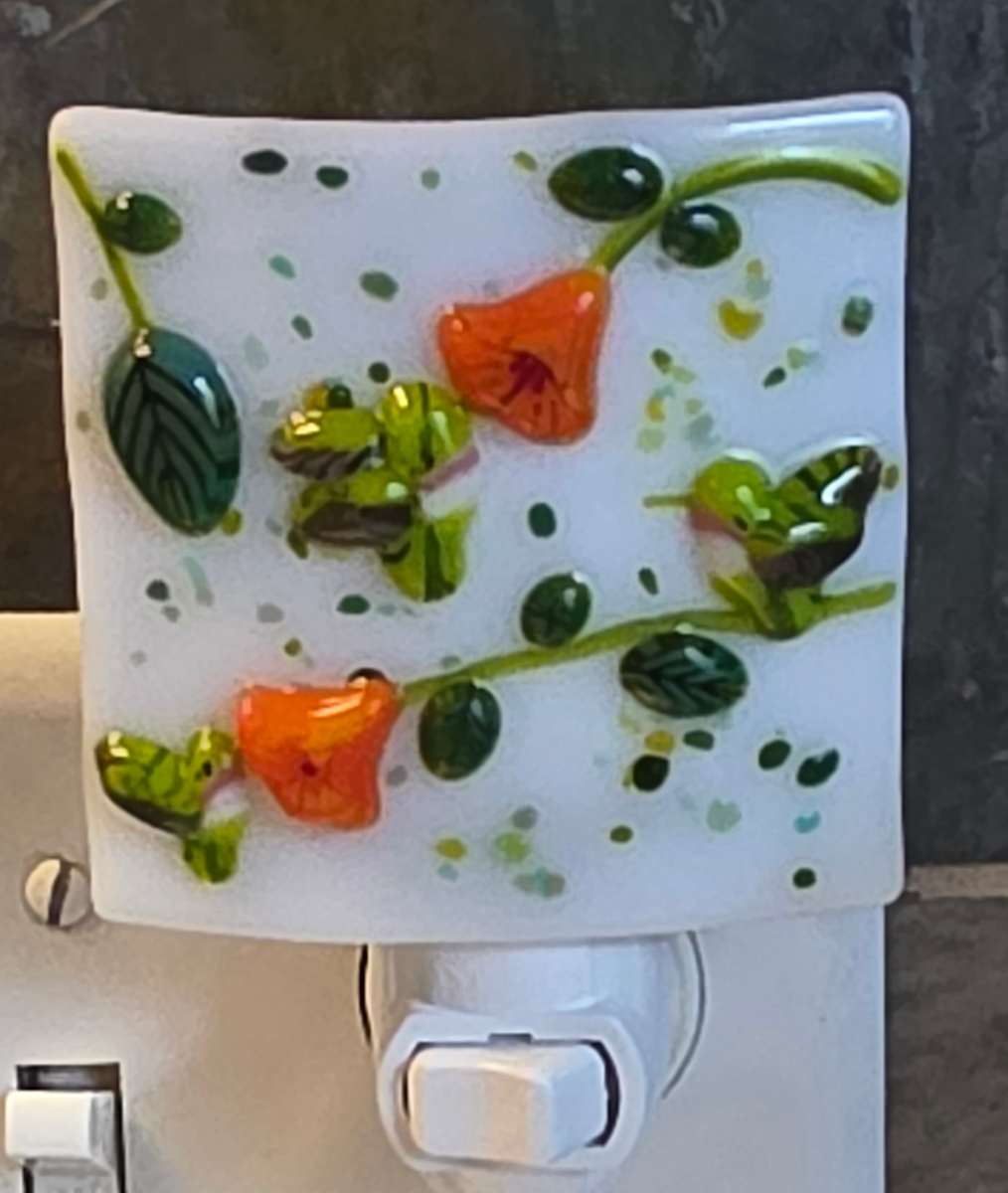 Nightlight-Hummingbirds and Trumpet Flowers by Kathy Kollenburn 