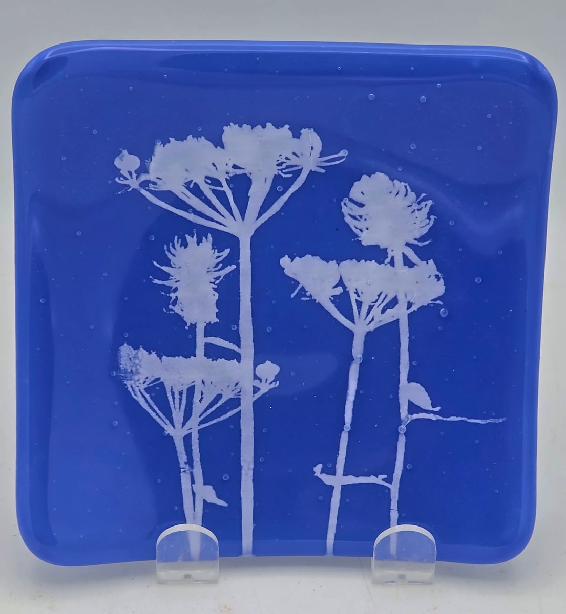 Small Plate-Queen Anne's Lace on Periwinkle by Kathy Kollenburn 
