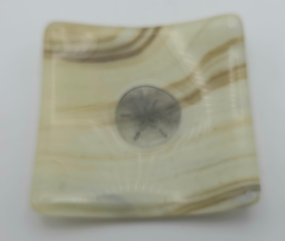 Small Plate-Sand Dollar on Brown/Cream Streaky by Kathy Kollenburn 