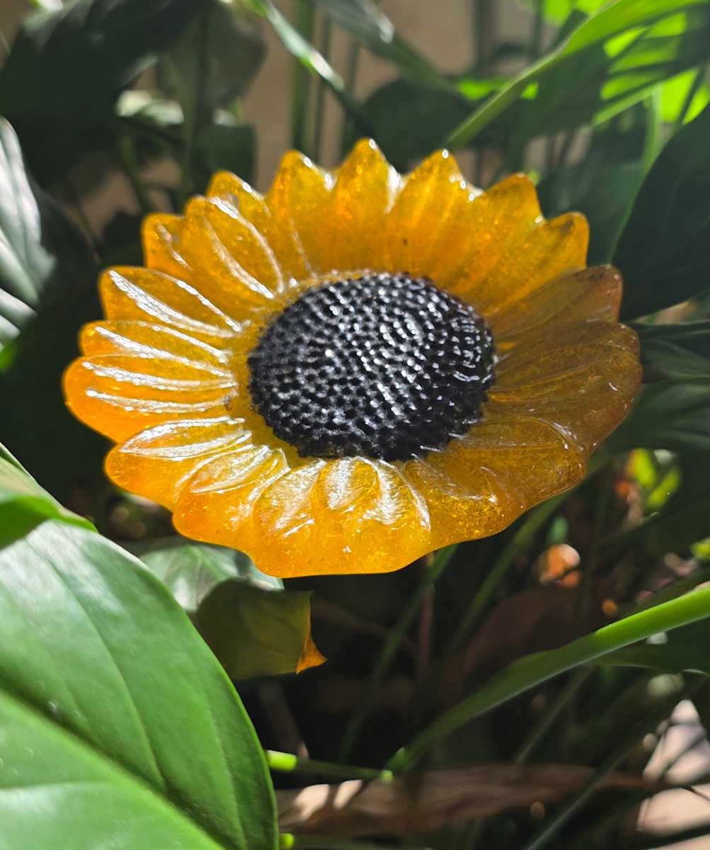Plant Pick-Golden Sunflower by Kathy Kollenburn 