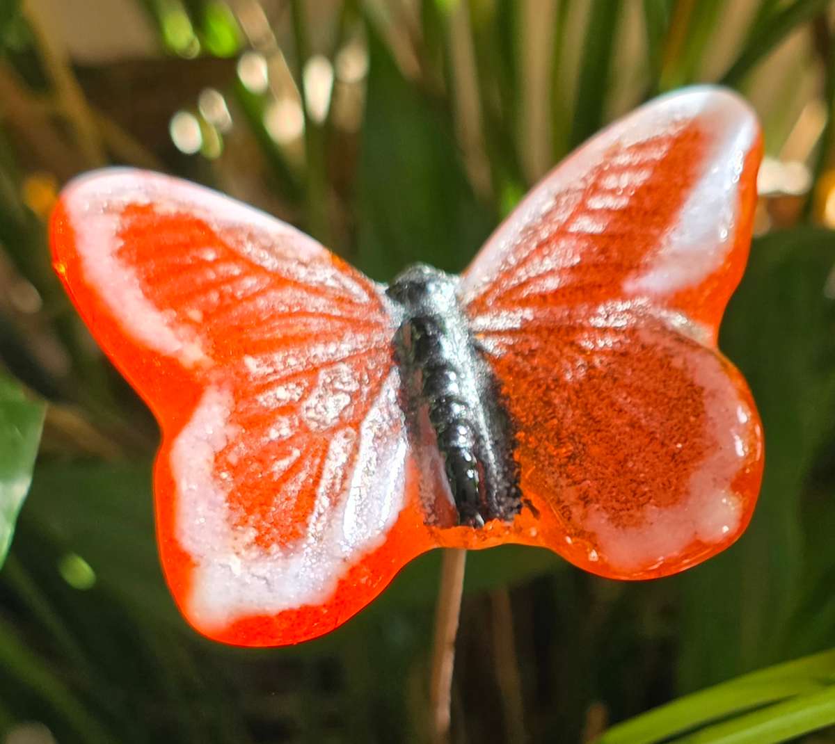 Plant Pick-Butterfly, Medium in Orange/White by Kathy Kollenburn 