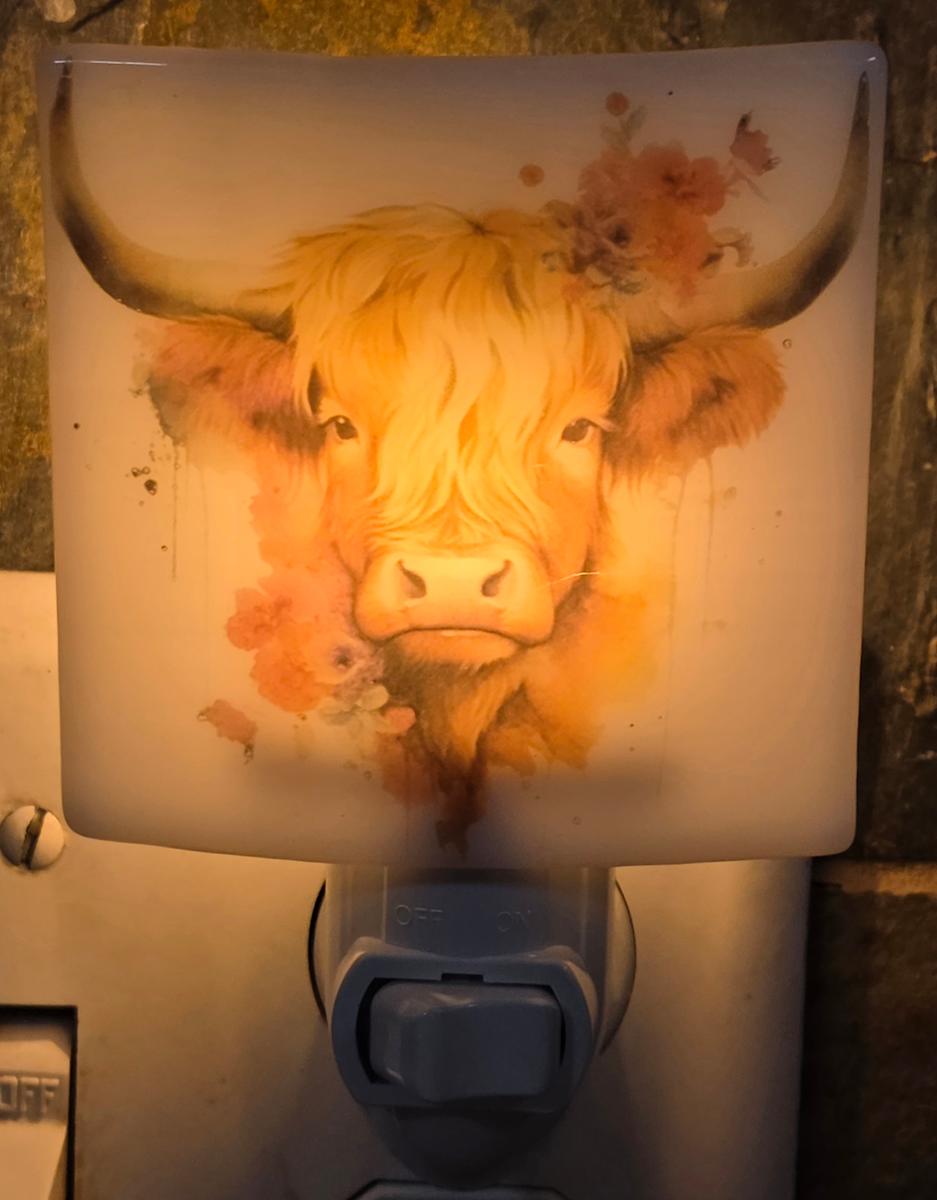Nightlight-Highland Cow Head by Kathy Kollenburn 