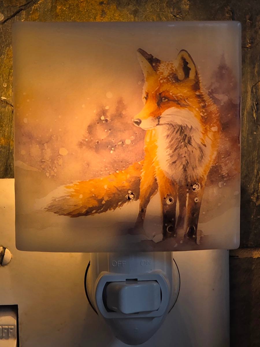 Nightlight-Fox in Forest by Kathy Kollenburn 