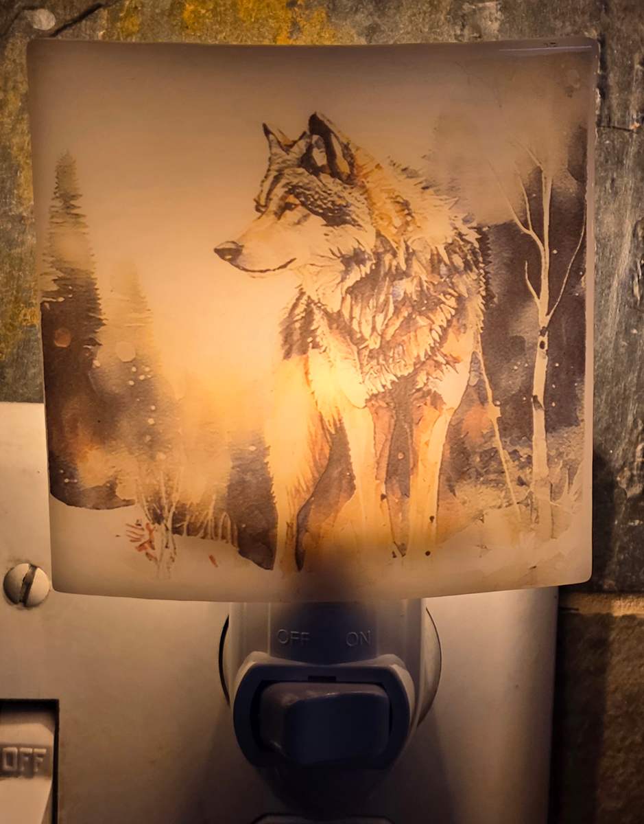 Nightlight-Wolf in Forest by Kathy Kollenburn 