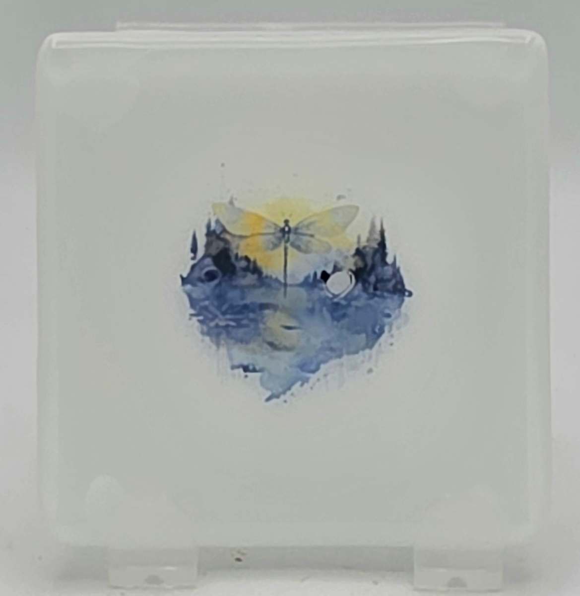 Small Plate-White with Dragonfly over Pond by Kathy Kollenburn 