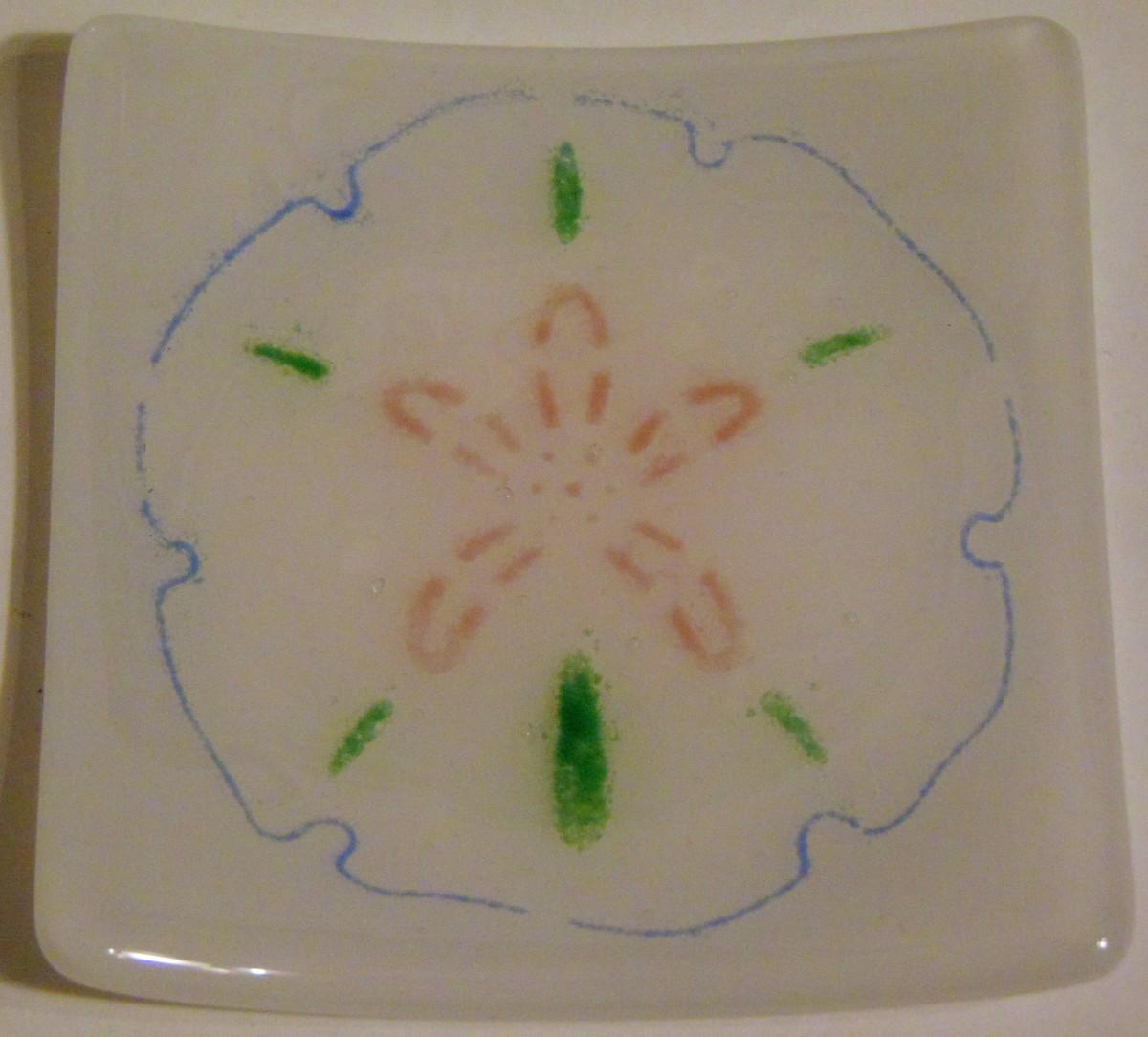 Small Plate-Sand Dollar on White by Kathy Kollenburn 