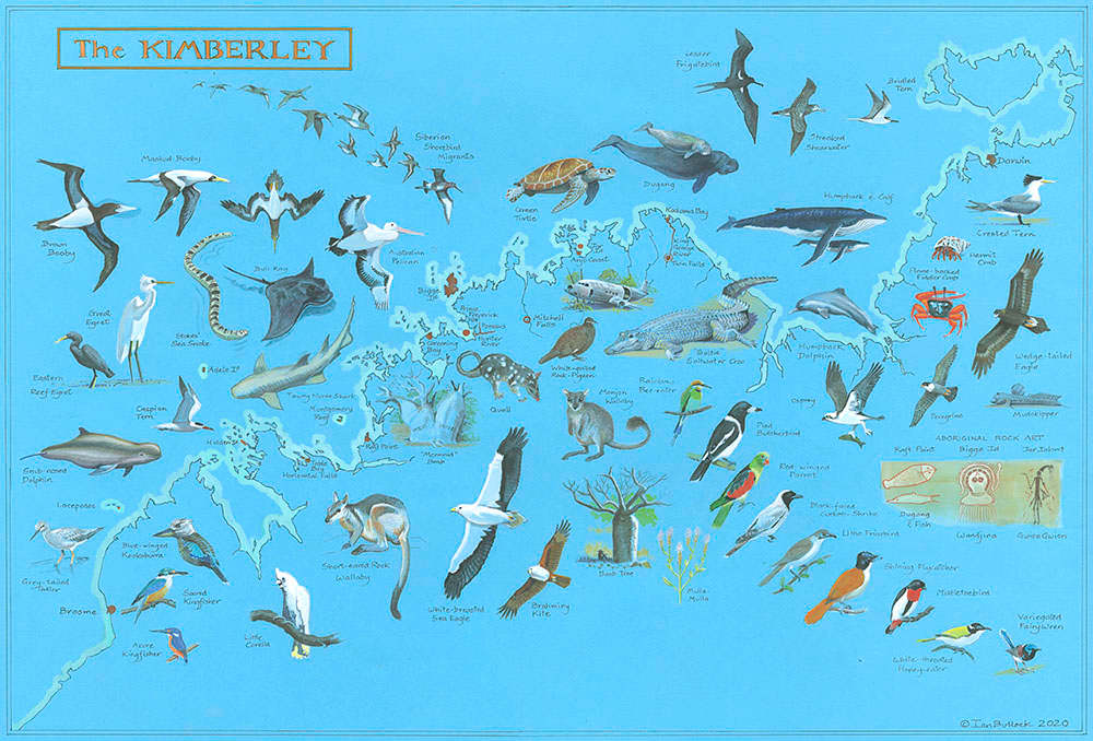 Australia Chart by Ian Bullock, Image 1.
