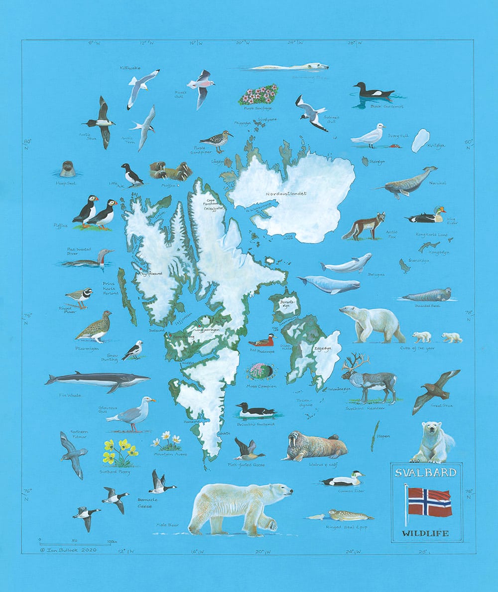 Svalbard Chart by Ian Bullock, Image 1.
