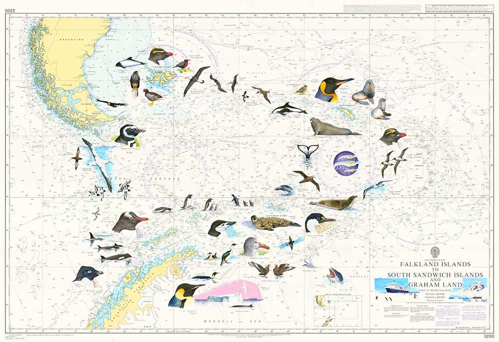 Falklands Chart by Ian Bullock, Image 1.