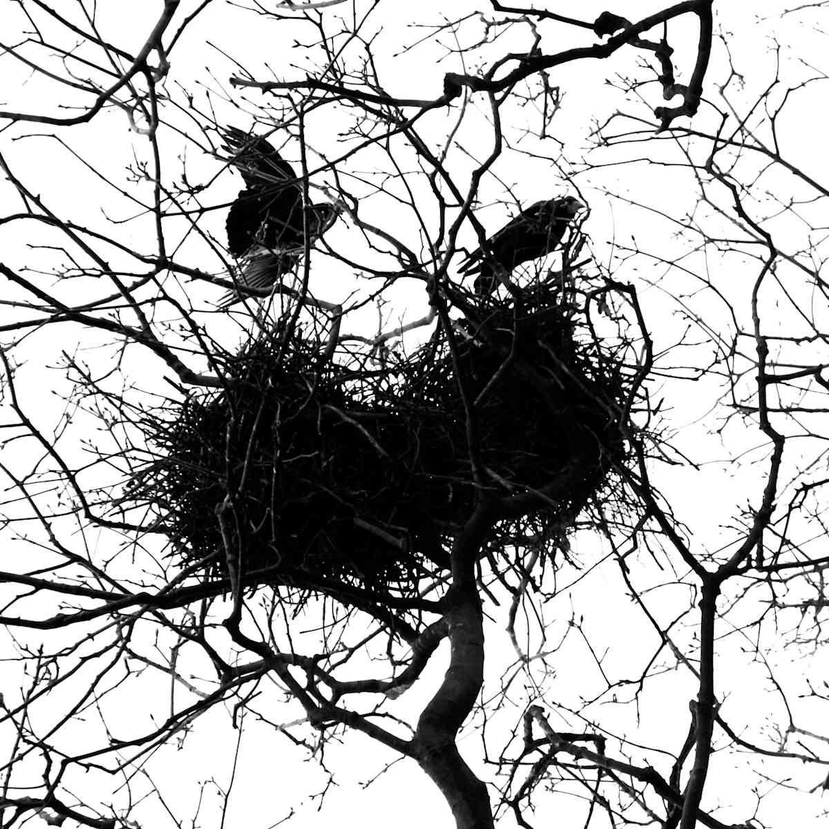 Returning by Heather Bennett, Image 1.