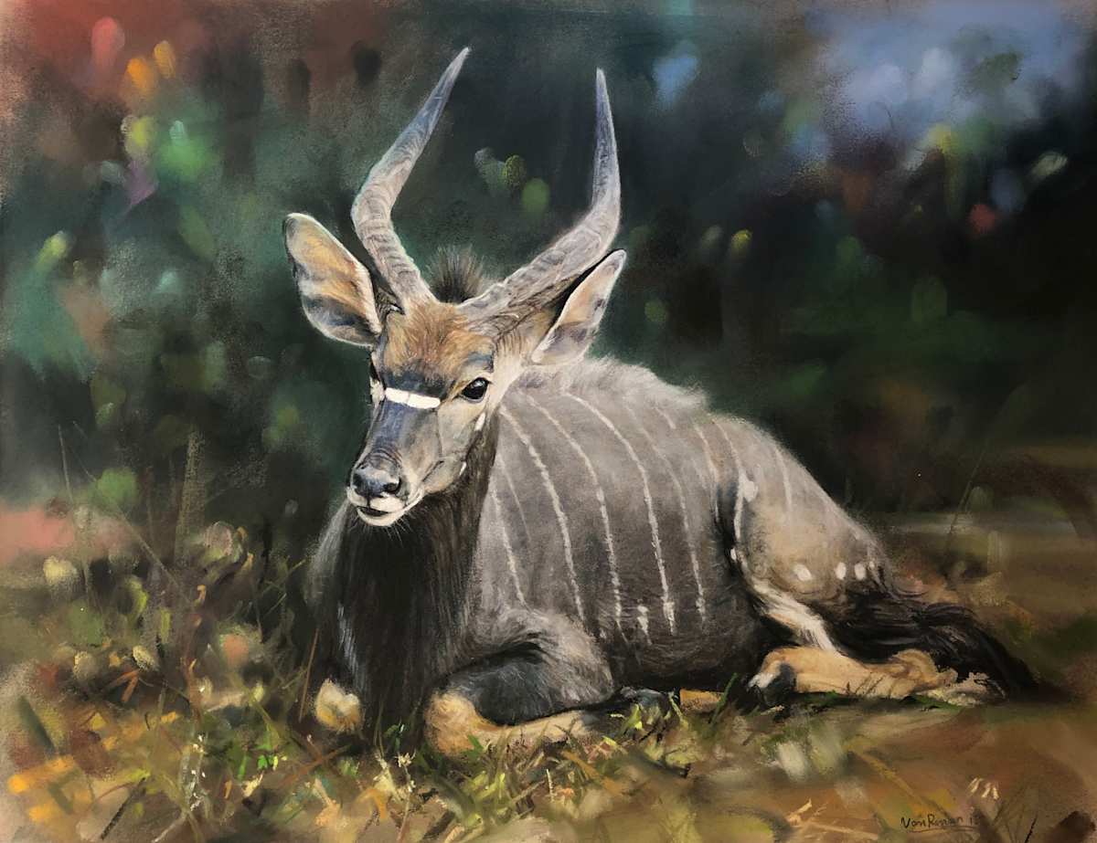 Nyala Bull by Richard RensonWise, Image 1.