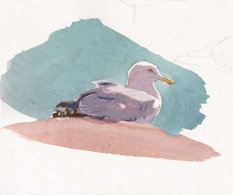 Herring Gull print by Rob Davies, Image 1.
