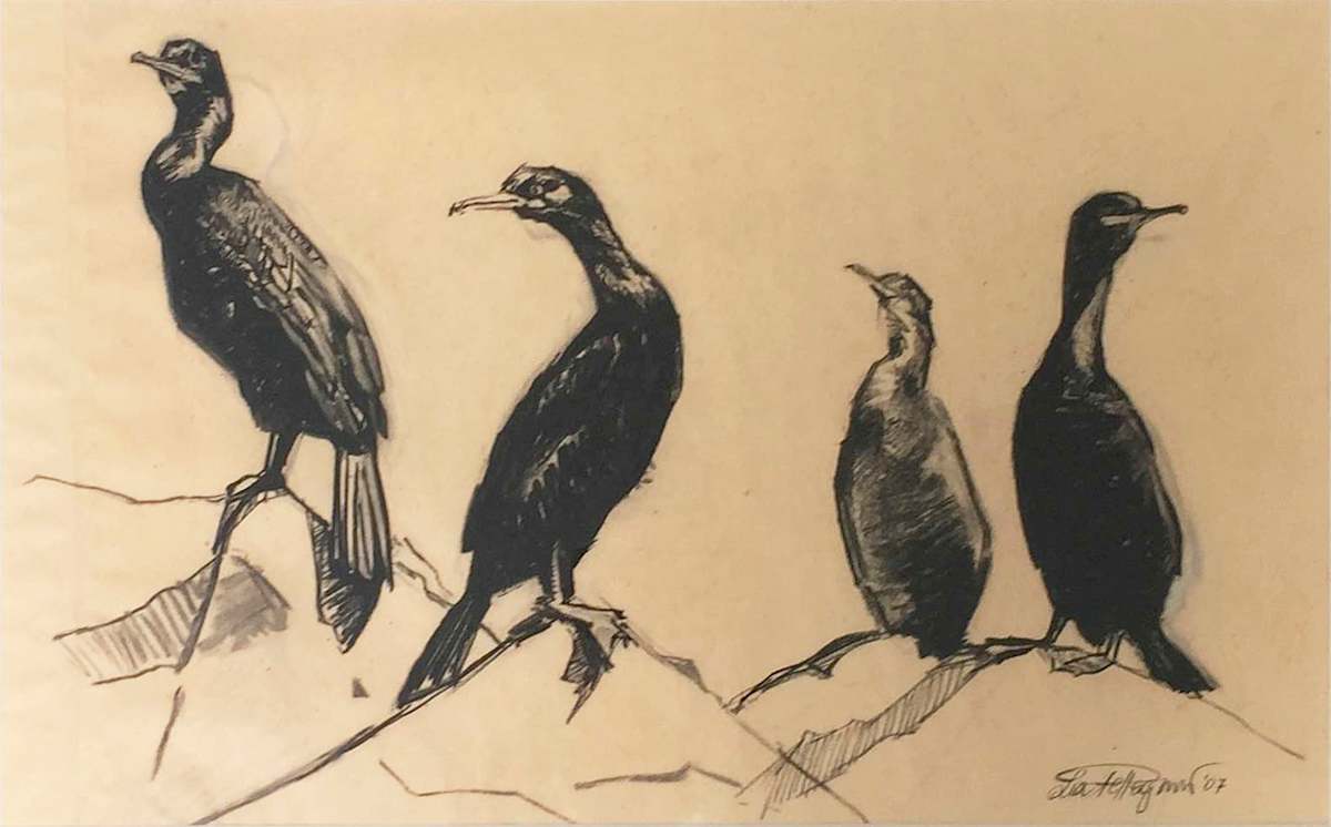 Shag pair by Lia Pellegrini, Image 1.
