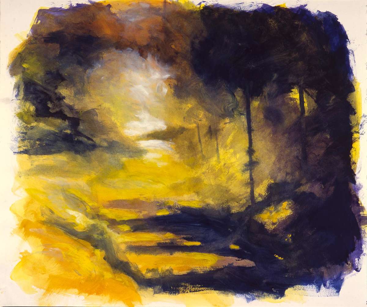 Last Light Through Trees by Peter Daniels, Image 1.