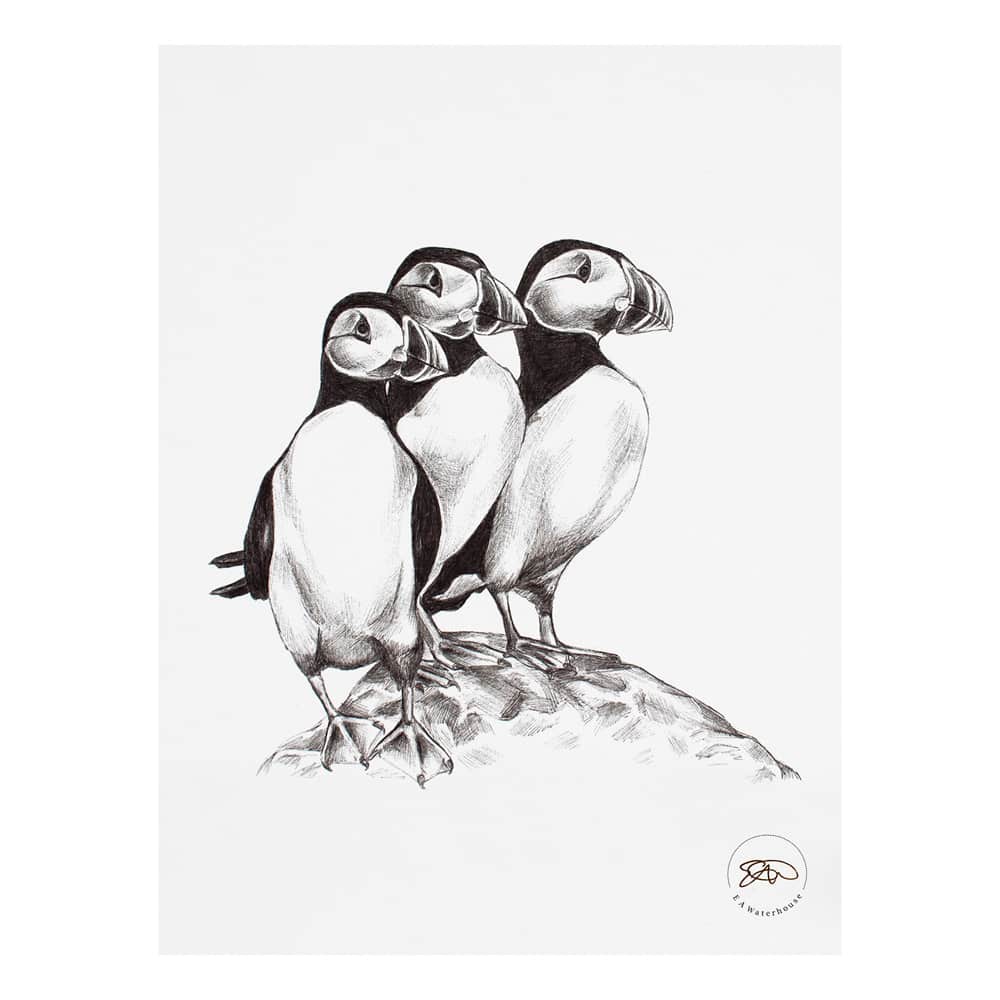 Puffins by Liz Waterhouse, Image 1.