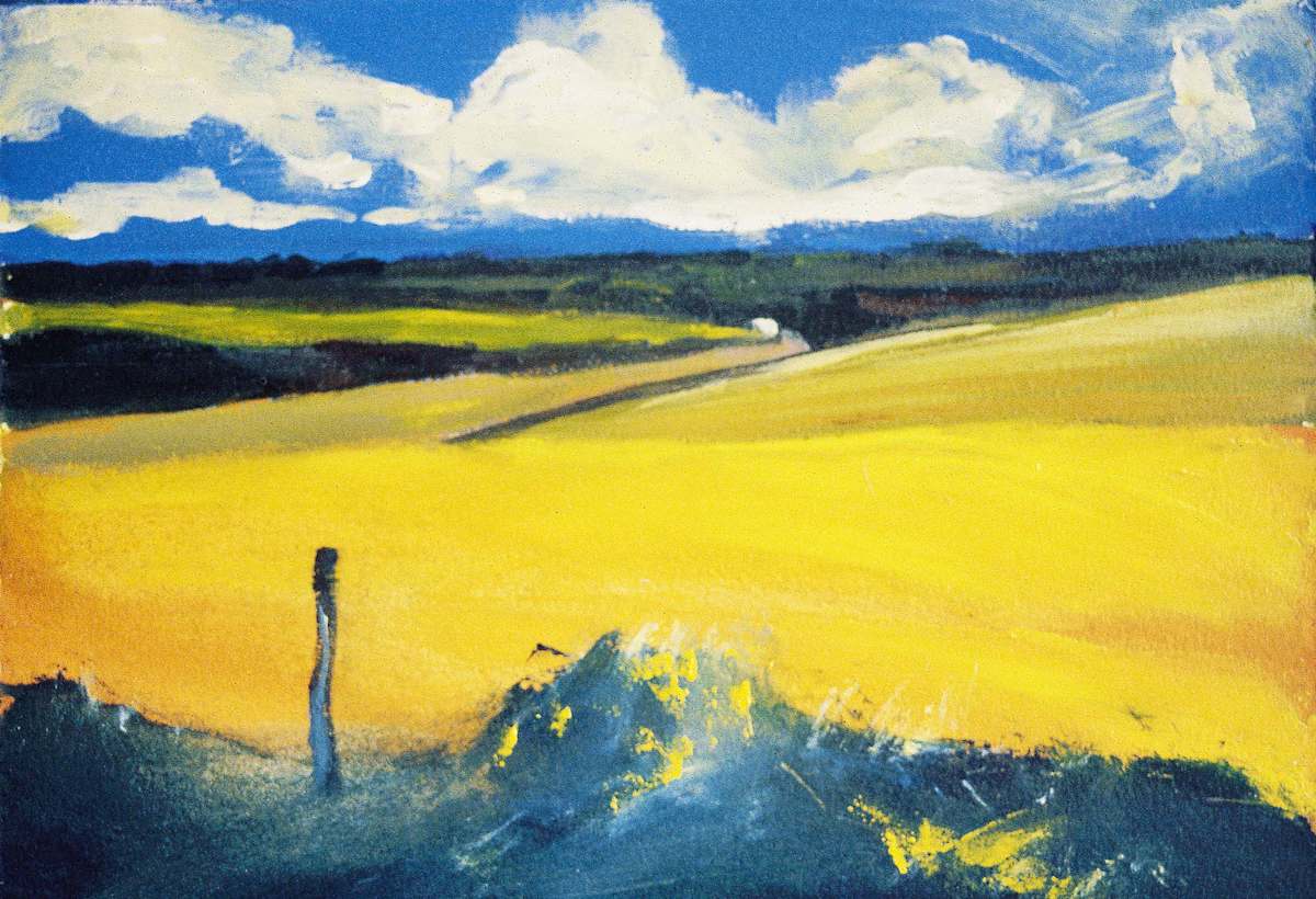 Solva Fields by Peter Daniels, Image 1.
