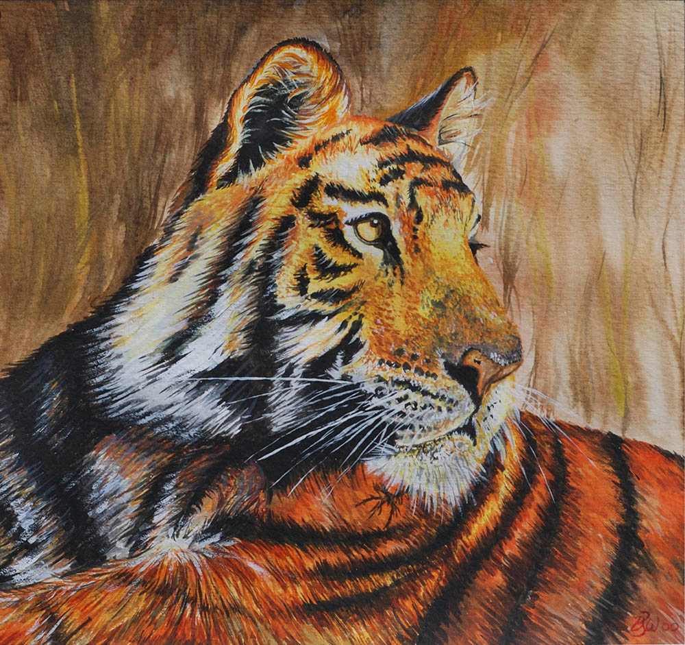 Tiger by Barry Woodman, Image 1.