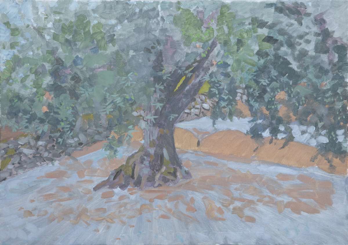 Olive Tree by Rob Davies, Image 1.