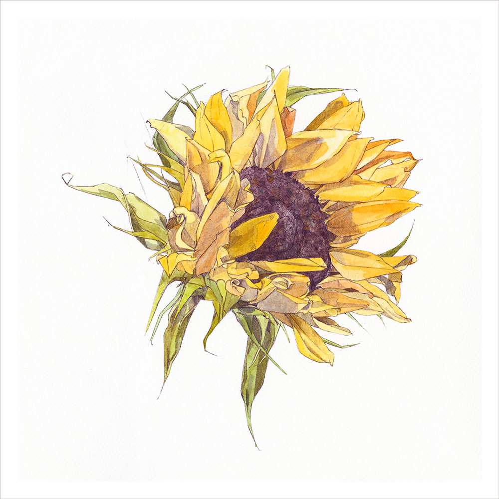 Sunflower by Ella Starling, Image 1.