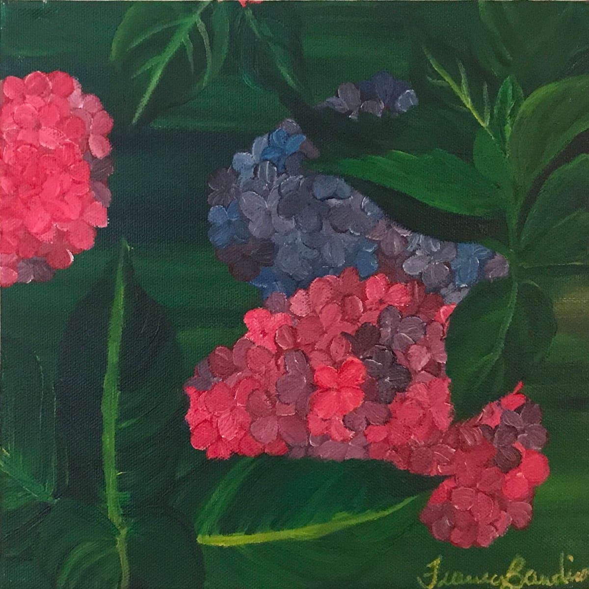 Hidden Dispassion by Francesca Bandino 