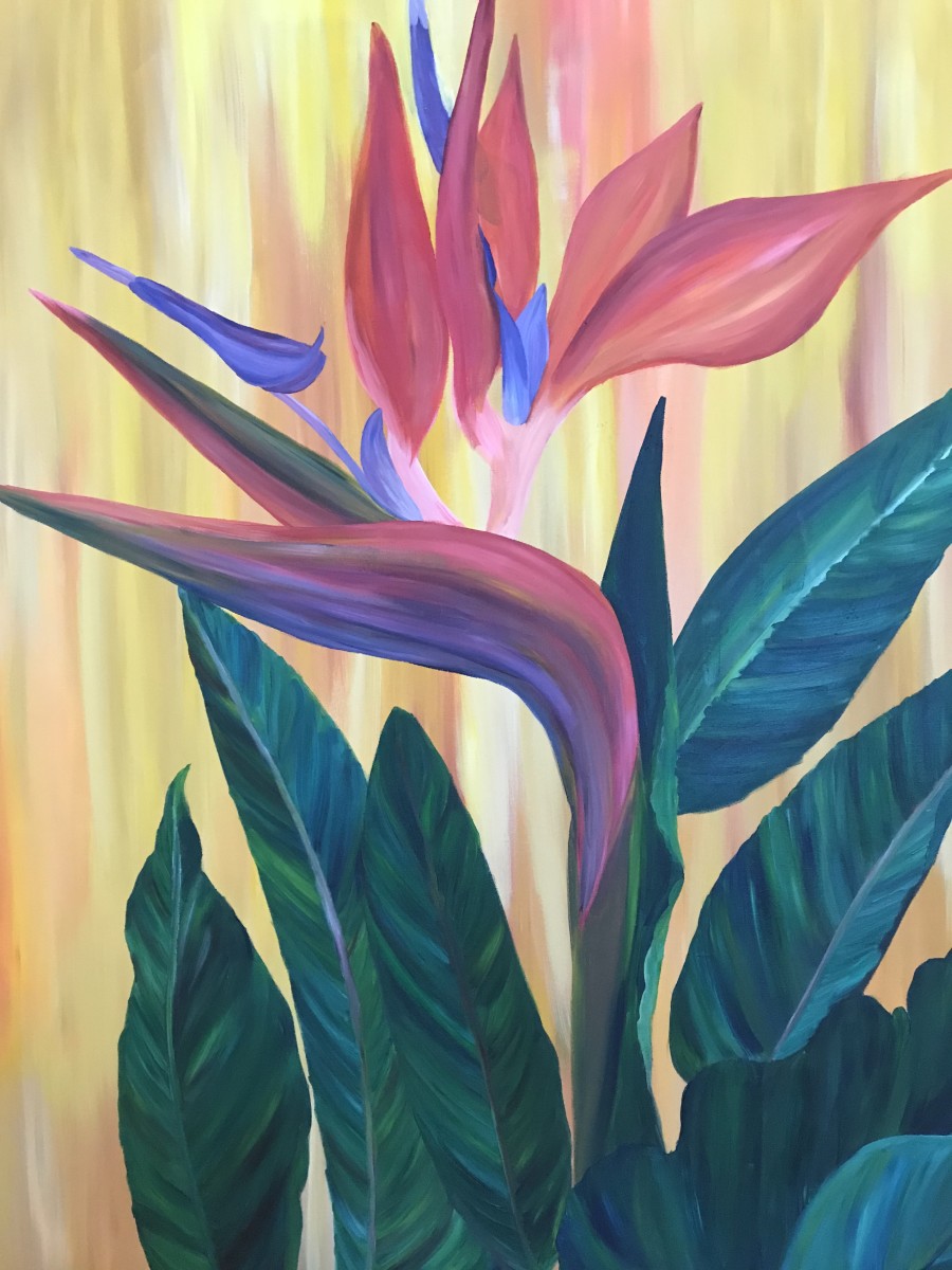 Dual Complexity by Francesca Bandino 