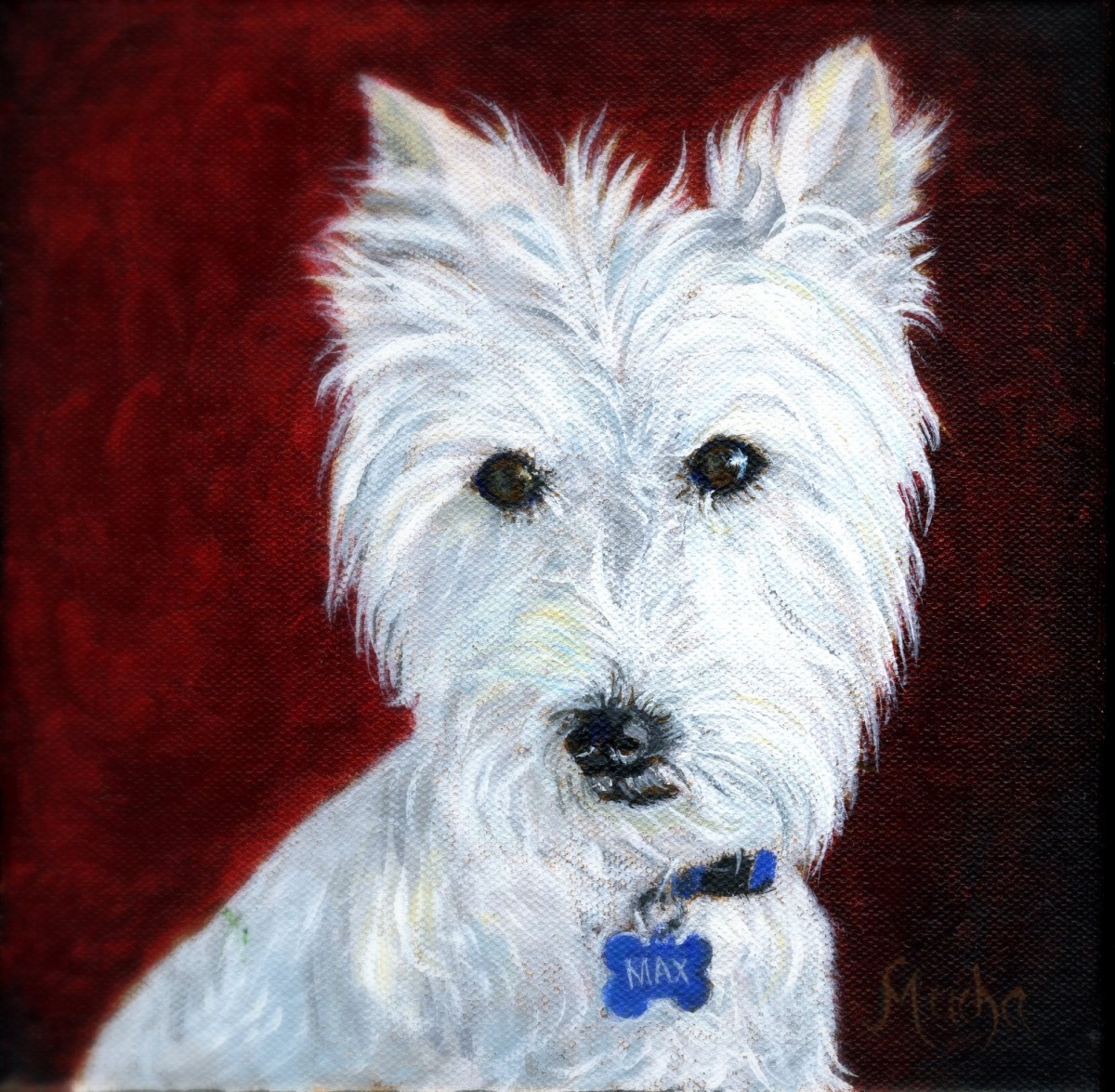 west highland white terrier schnauzer mix