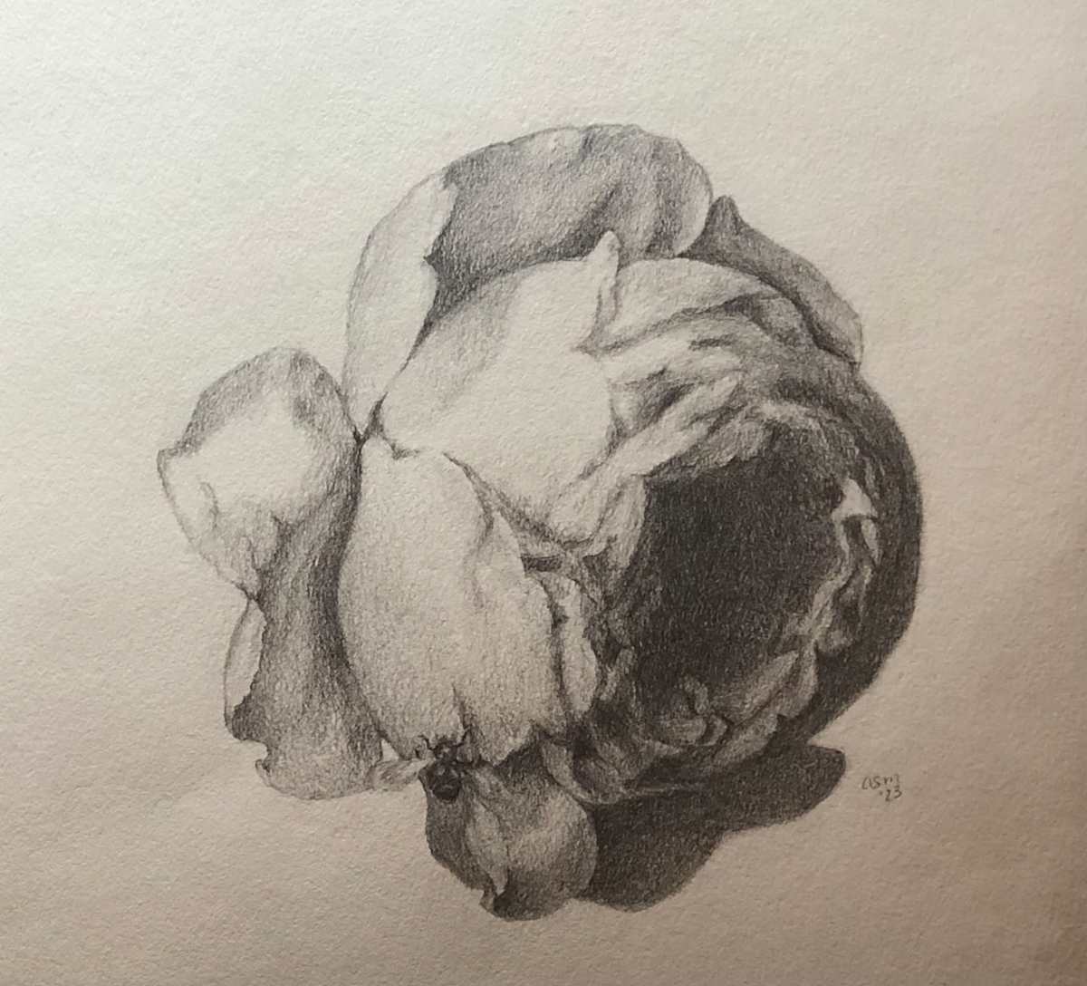 Dutch Flower Study by Amy Mills, Image 1.