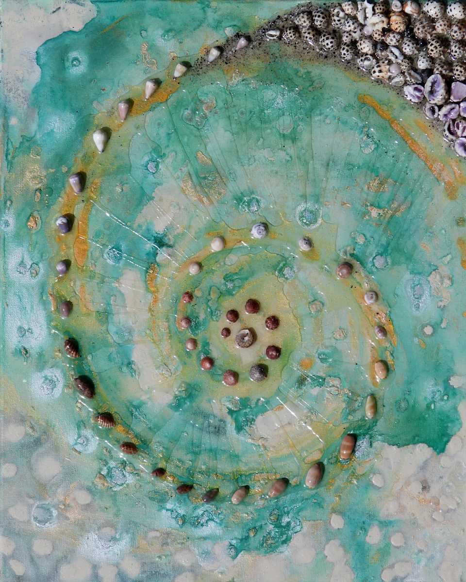 Shell Collection by Laura McClanahan, Image 1.