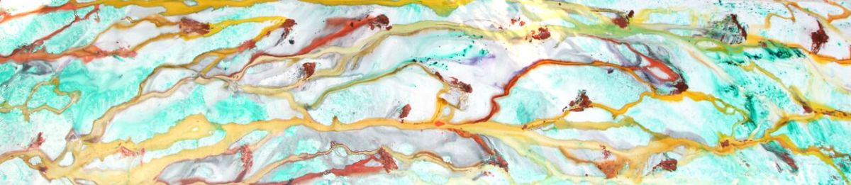 We Swim in the Sun by Laura McClanahan 