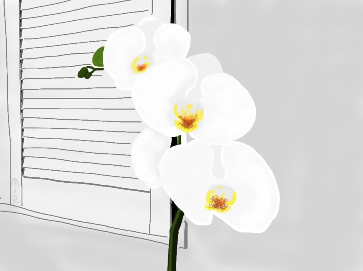 Chalk Pit Orchid by Martin Briggs 