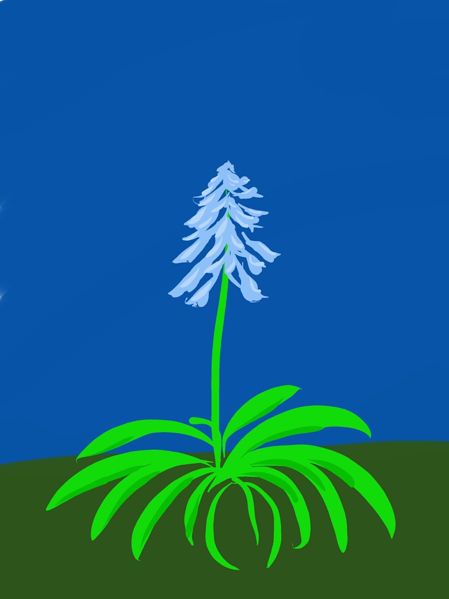 Bluebell by Martin Briggs, Image 1.