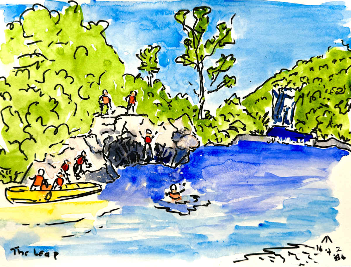 The Leap by Martin Briggs 