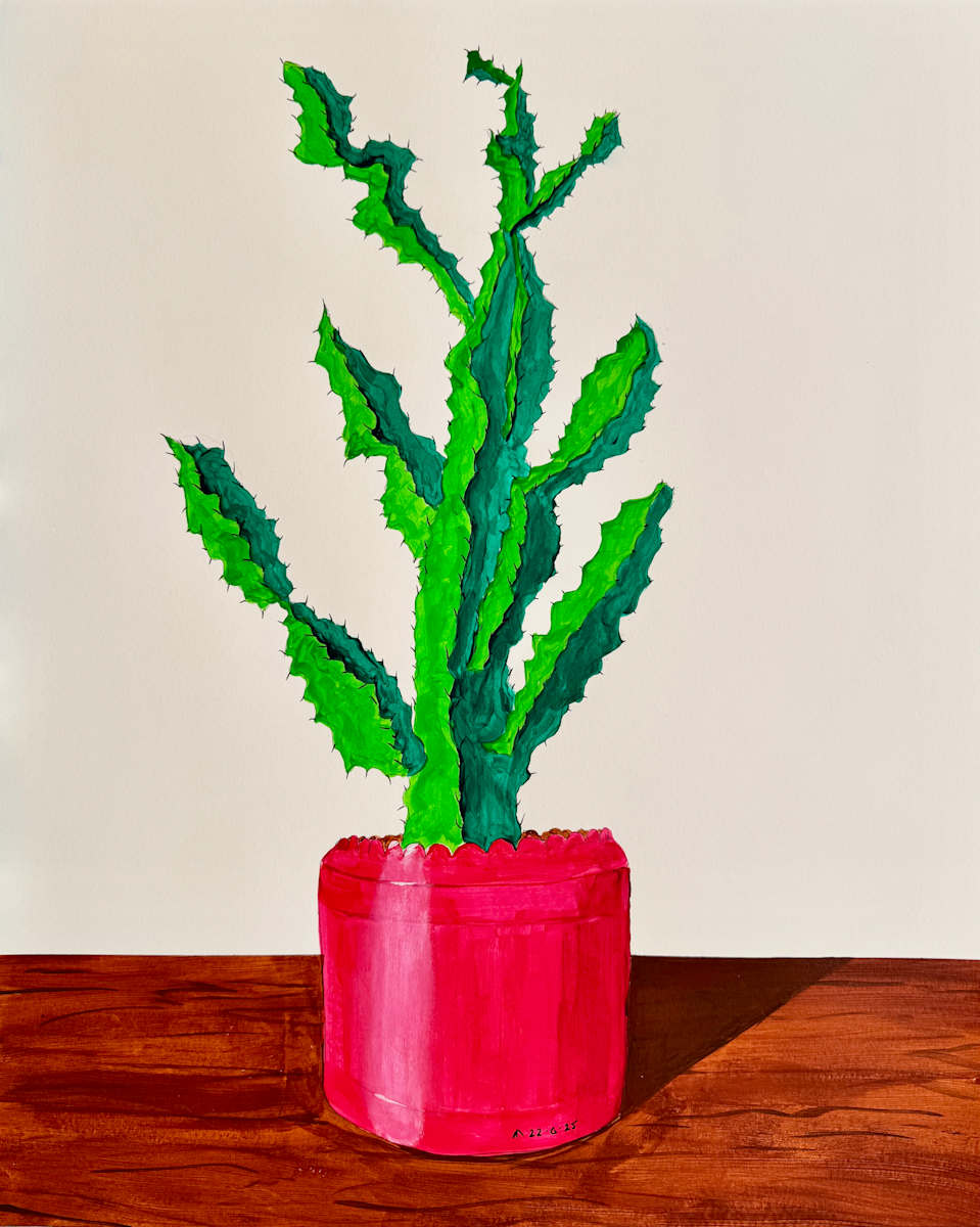 Cactus by Martin Briggs 