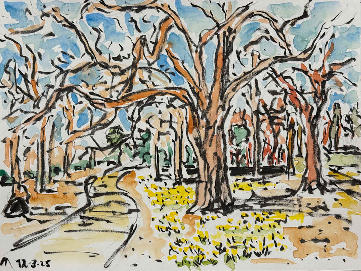 Daffodils in The Park by Martin Briggs 