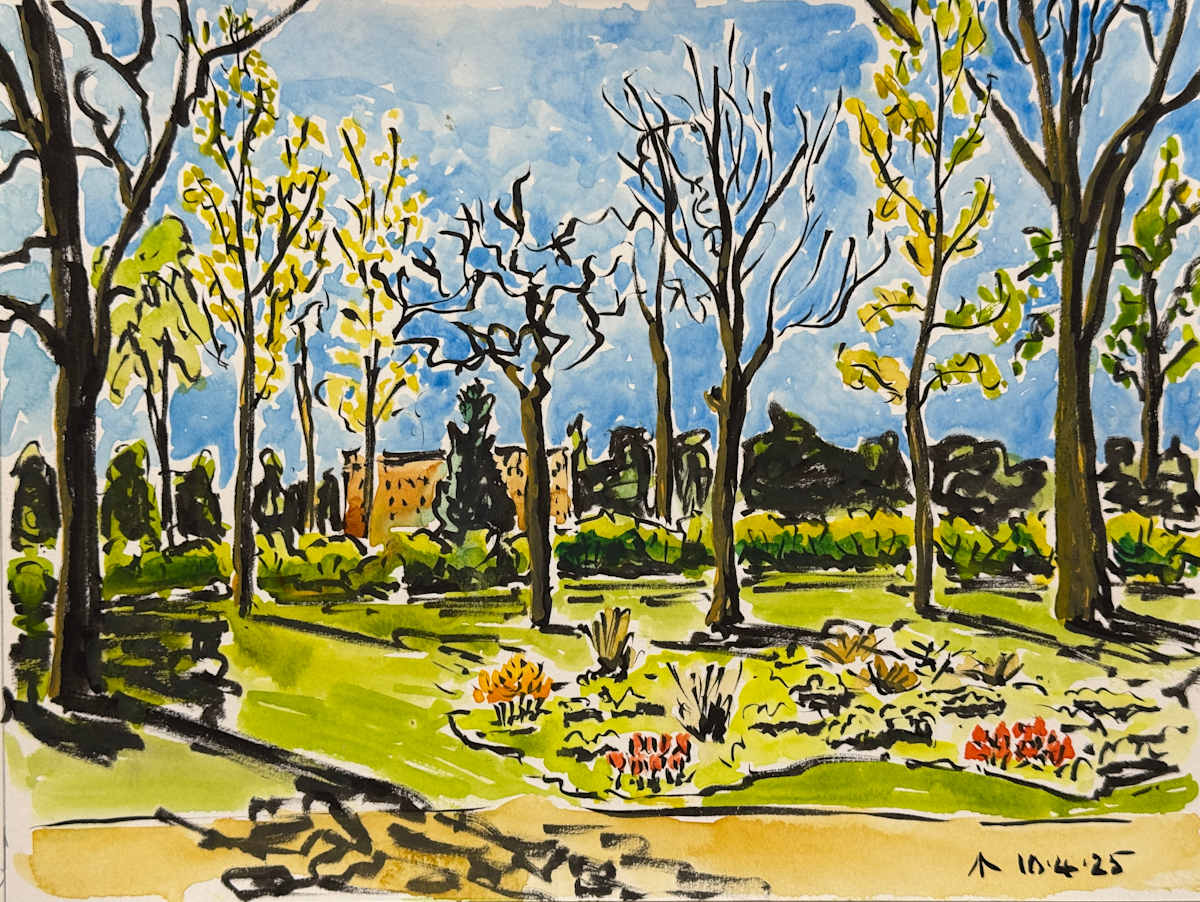 The First Tulips by Martin Briggs 