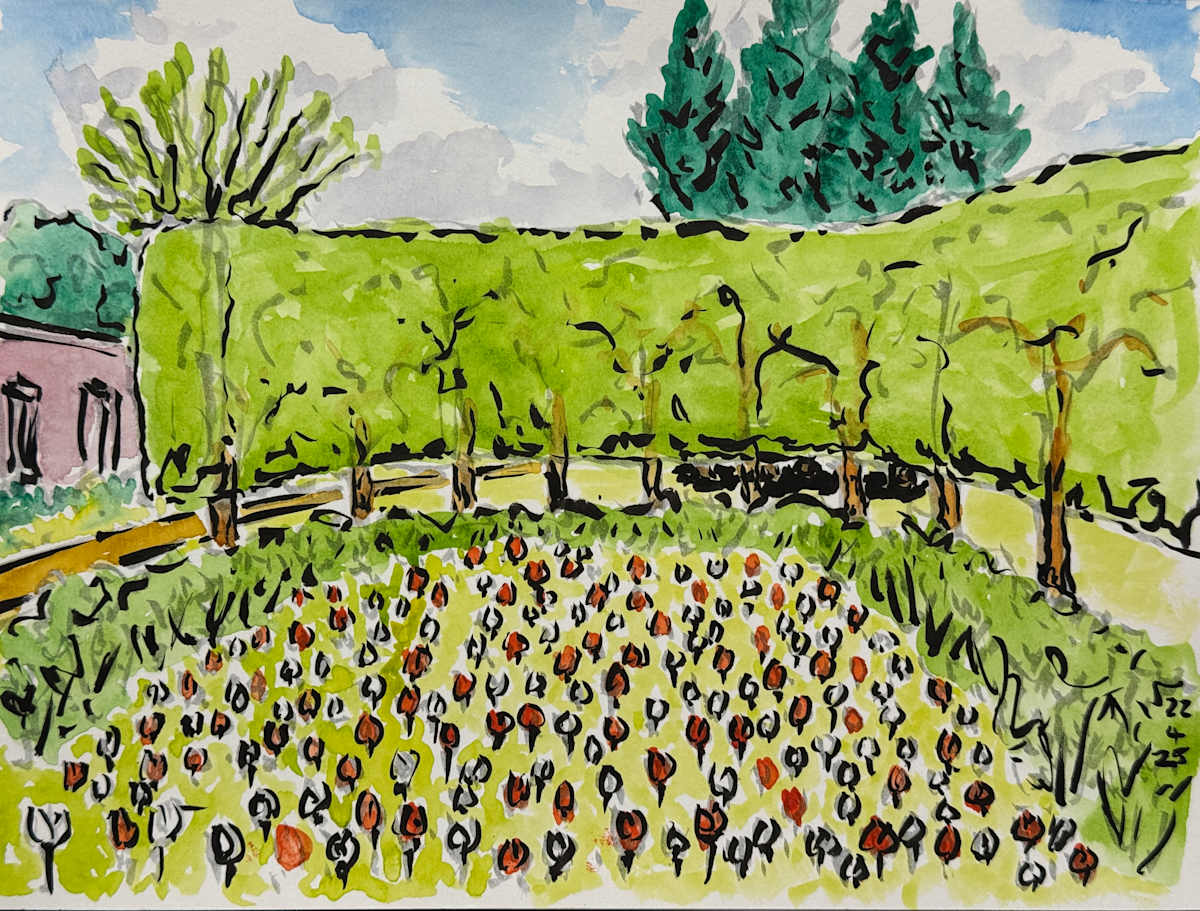 Stuttgart Garden by Martin Briggs 