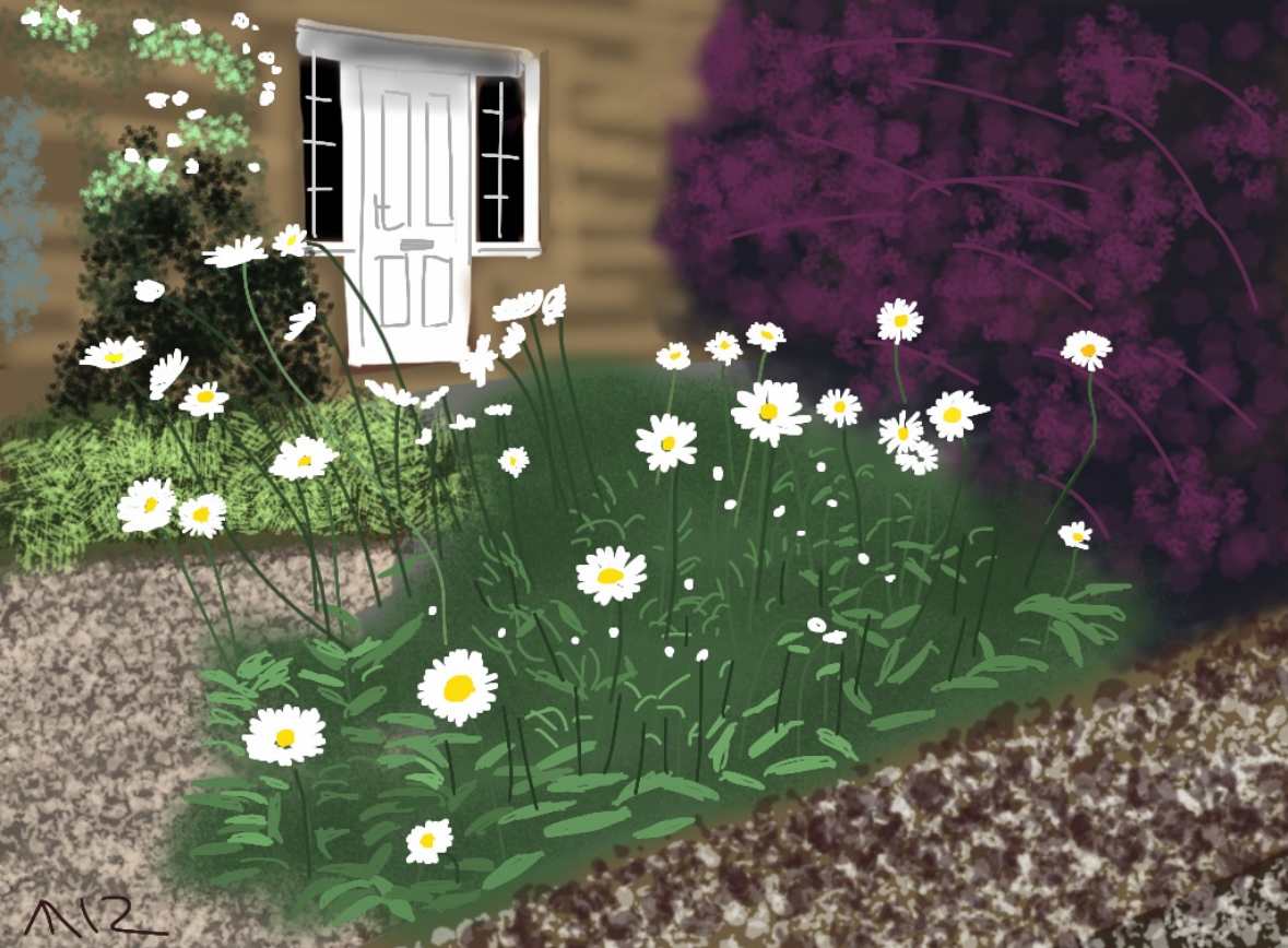 Michaelmas Daises, Cotswolds by Martin Briggs, Image 2.